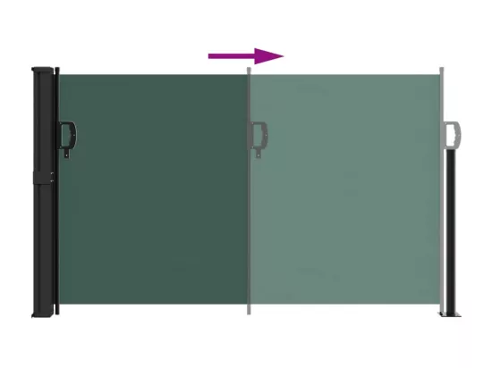 Auvent latéral rétractable vert foncé 120x500 cm