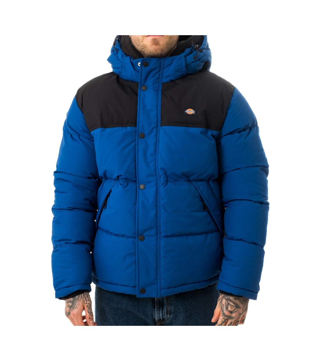Doudoune Bleu Homme Dickies Glacier View Coat