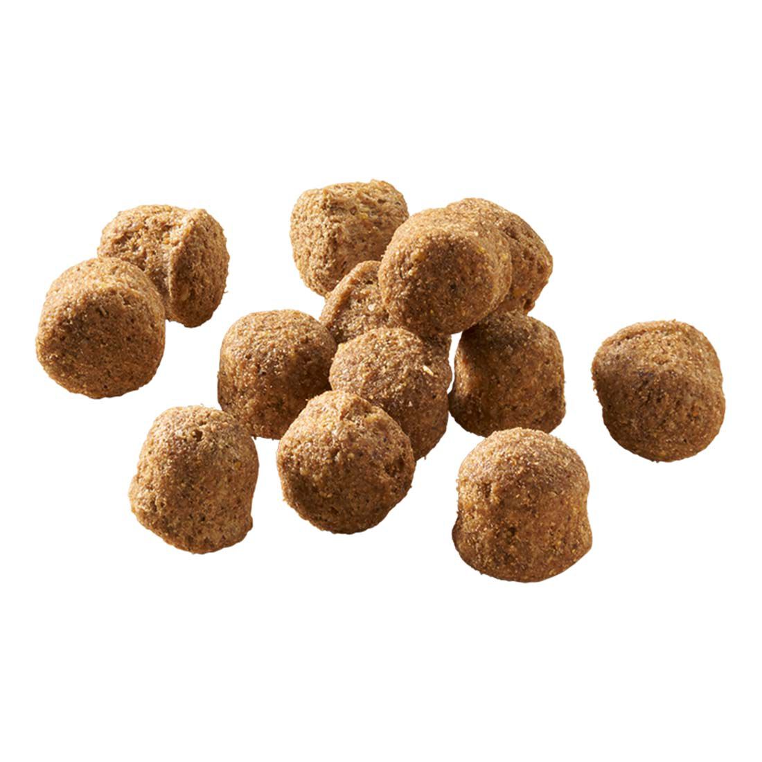Welkoop Adult Krokante brokken - Hondenvoer - 2.5 Kilogram - Lam & rijst