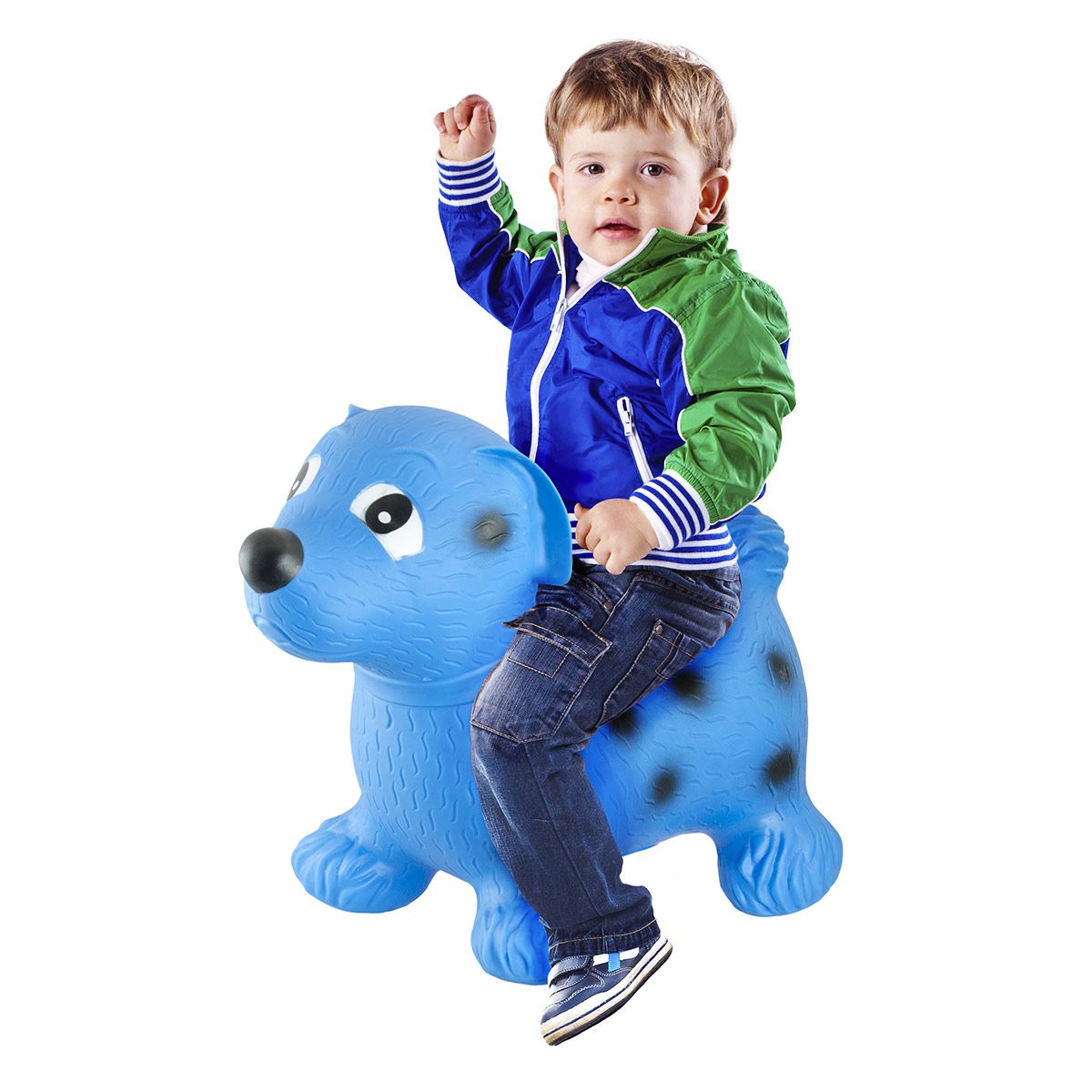 Copain sauteur chien