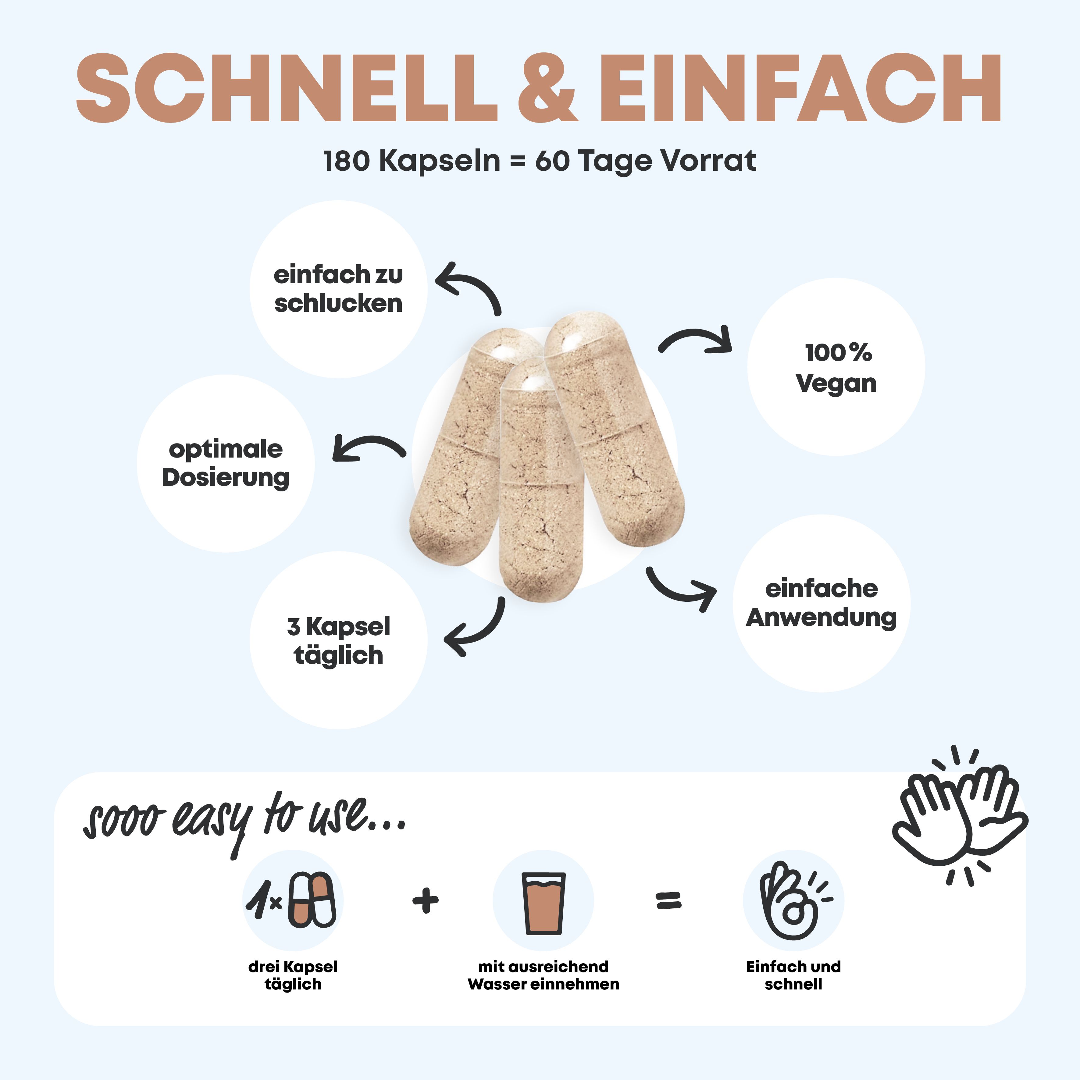 Lions Mane - 1950mg je Tagesdosis - Extrakt (entspricht 19.500mg Hericium Erinaceus) PREMIUM