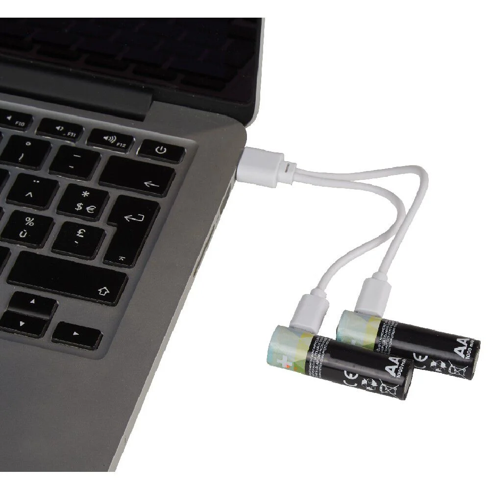 Pile rechargeable USB x4