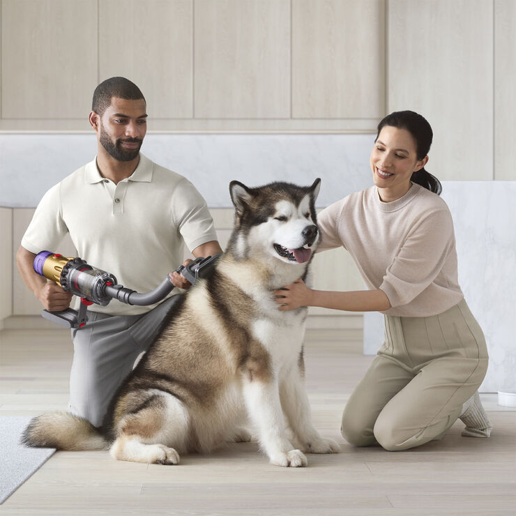 DYSON Pet Grooming Kit
