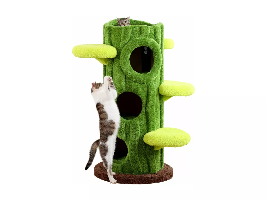 Arbre à chat en bois massif, d60cm×h120cm, vert