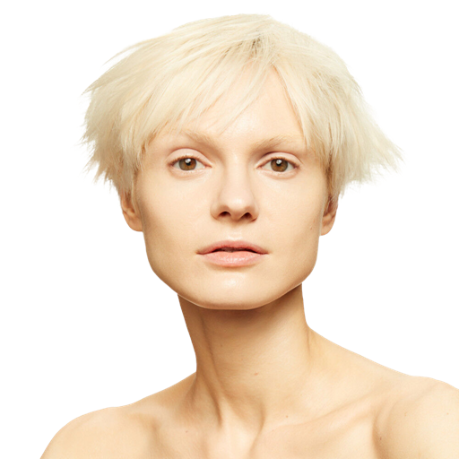 Shiseido Synchro Skin Self-Refreshing Foundation, 160
