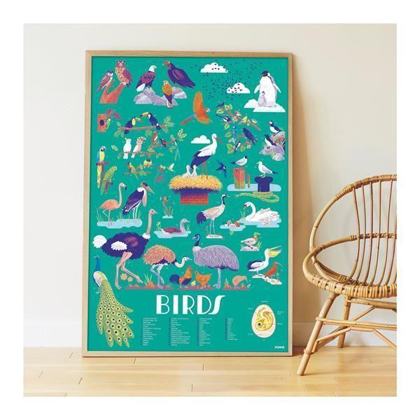 POPPIK Sticker Lernposter Vögel