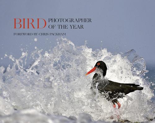 Bird Photographer of the Year: Collection 5 - Bird Photographer of the Year (Hardback)