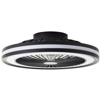 Brilliant plafondventilator Palermo met lamp en RGB functie 40W zwart