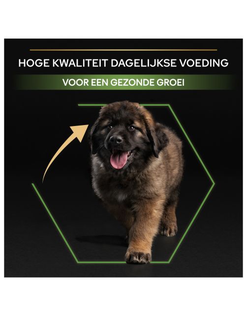Pro Plan Dog Puppy Large Breed Robust Kip - Hondenvoer