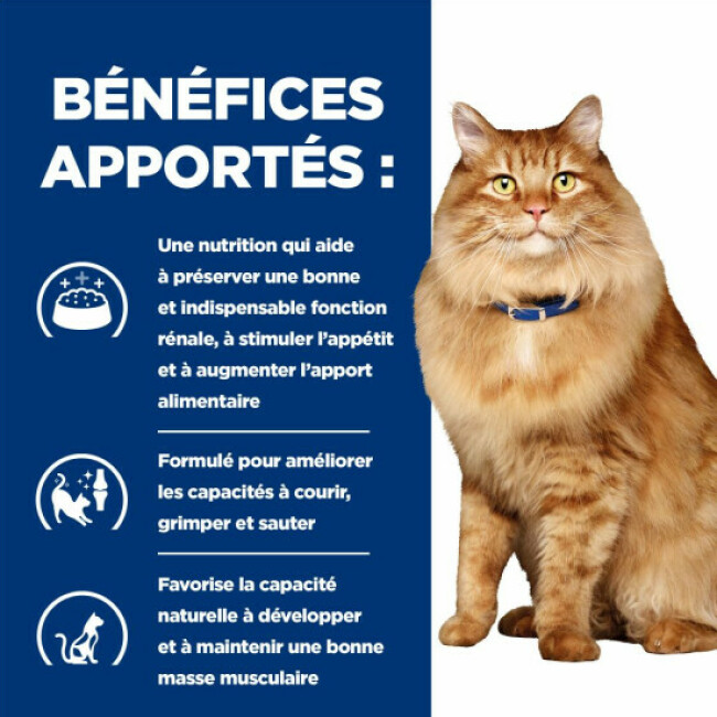 Hill's Prescription Diet Feline K/D + Mobility