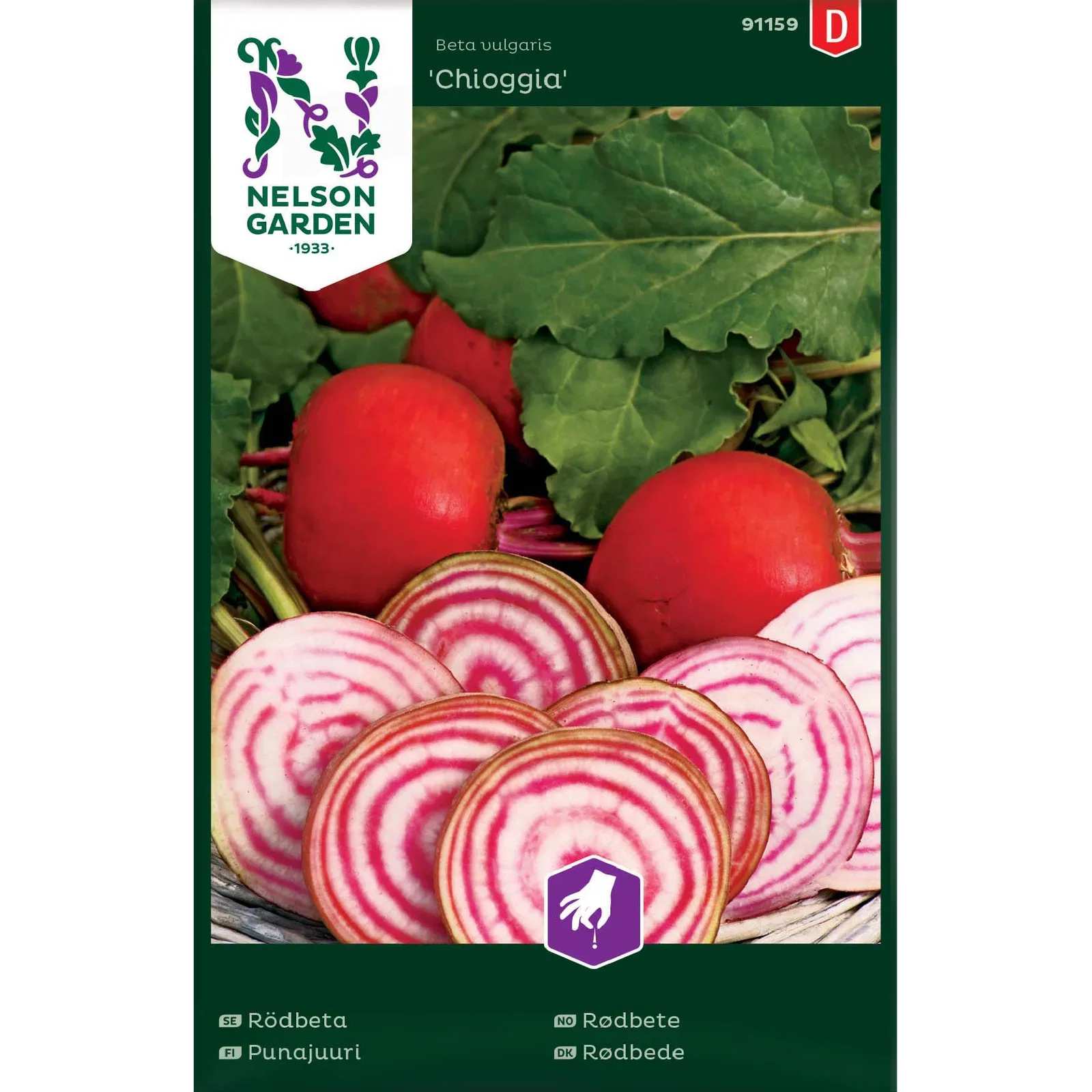 Beta vulgaris 'Chioggia' Rødbete 'Chioggia'