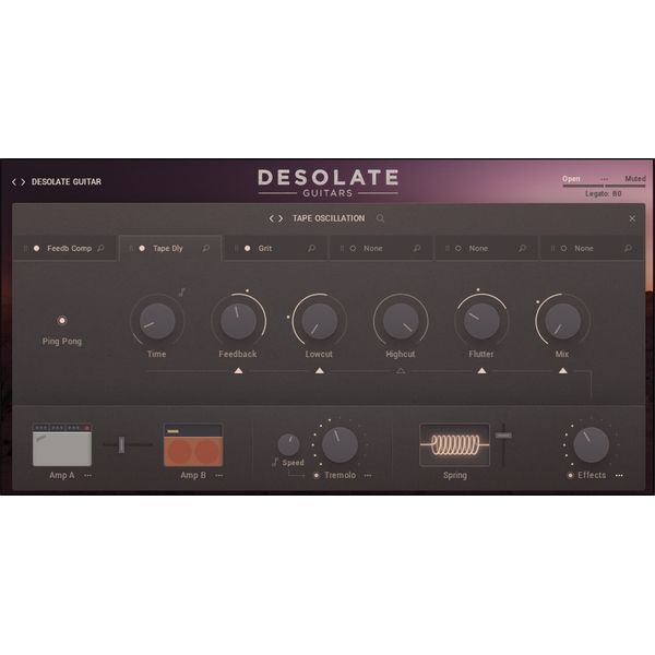 e-instruments Desolate Guitars