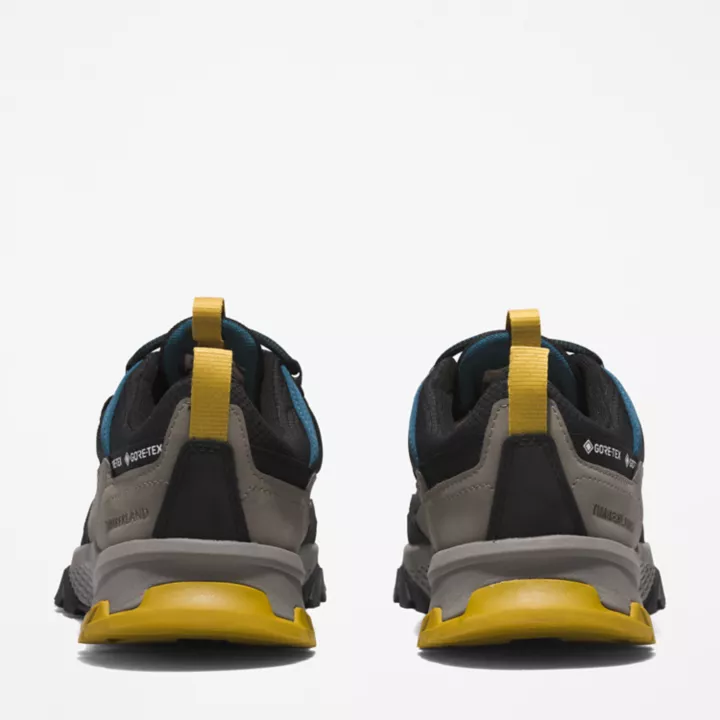 Hiker Lincoln Peak Gore-Tex pour homme en gris