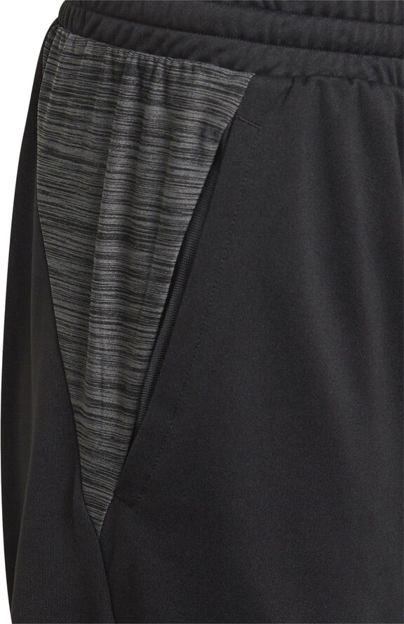 adidas AEROREADY Heather træningsshorts Sort