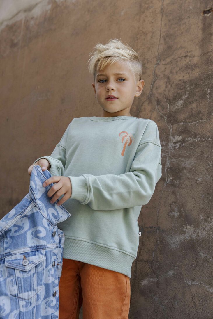 AMMEHOELA mint ammehoela sweater am.rocky.63