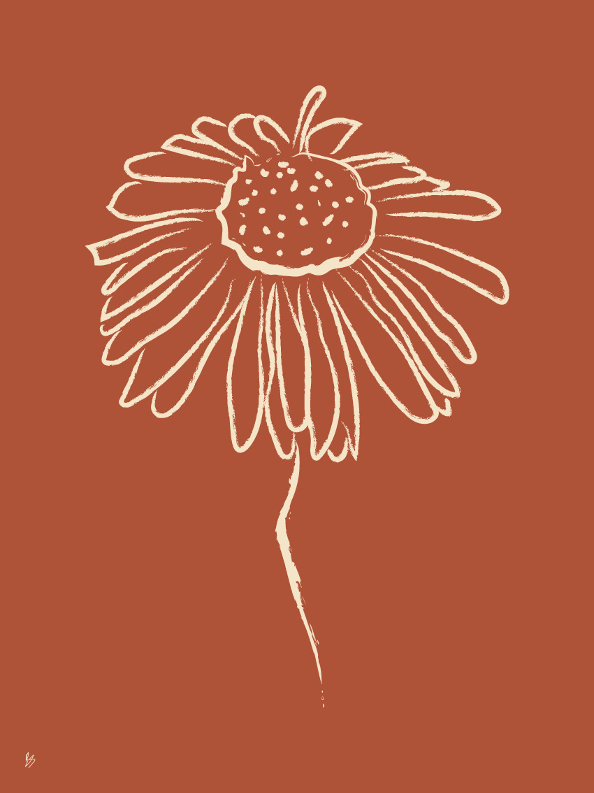 Poster Daisy 40 x 50 cm