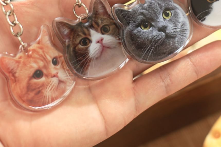 Monez - Kat Acryl Sleutelhanger (Diverse Ontwerpen)