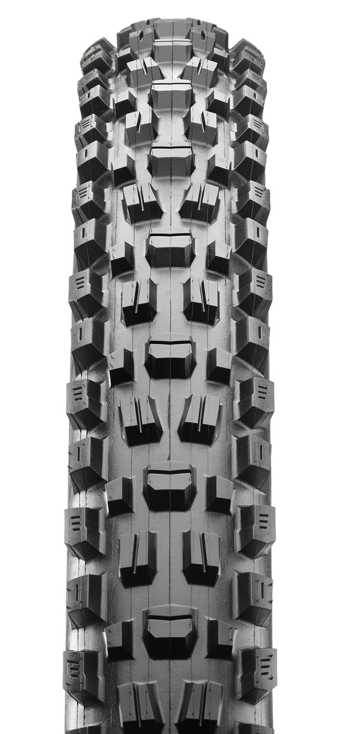Assegai 29 x 2.5 WT TR Black