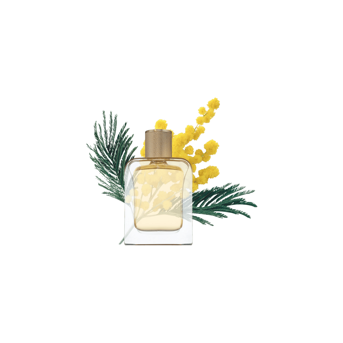 Mimosa In The Air Eau de Parfum 85ml