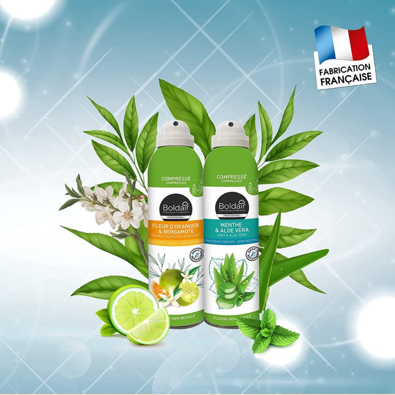 Destructeur d'odeurs Boldair Menthe & Aloe vera - Aérosol 250 ml
