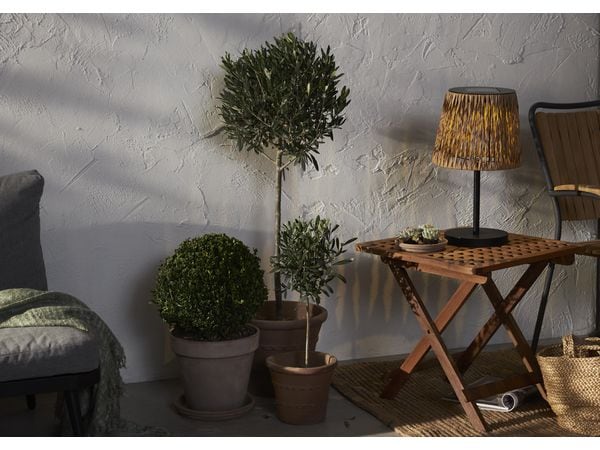 Star Trading Tischleuchte Solar Cesta, 48 cm, Braun/Schwarz Tischdekoration für Garten
