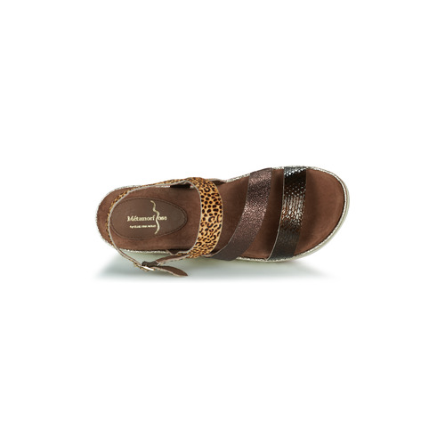 Metamorf'Ose - LACET - Marron