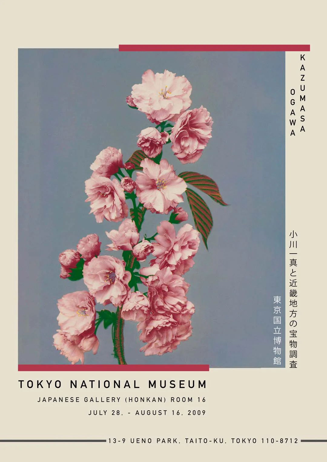 Kirschblüte von Kazumasa Ausstellung