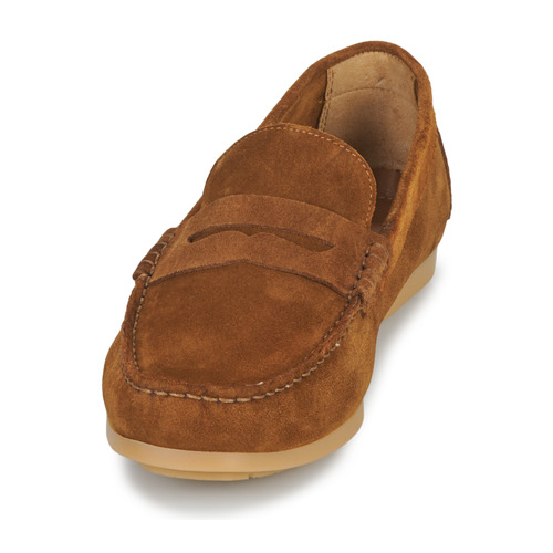 Carlington - ERMYL - Camel