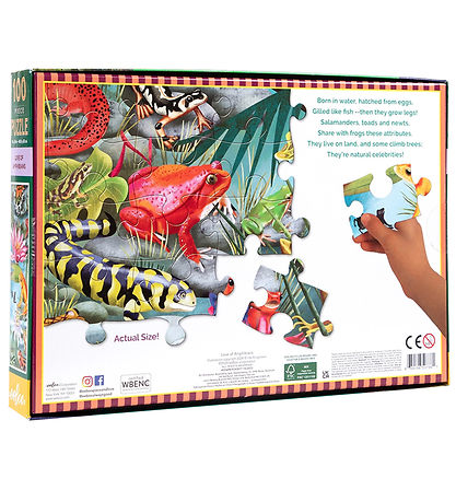 Eeboo Puslespil - 100 Brikker - 40,6x61 cm - Amfibier