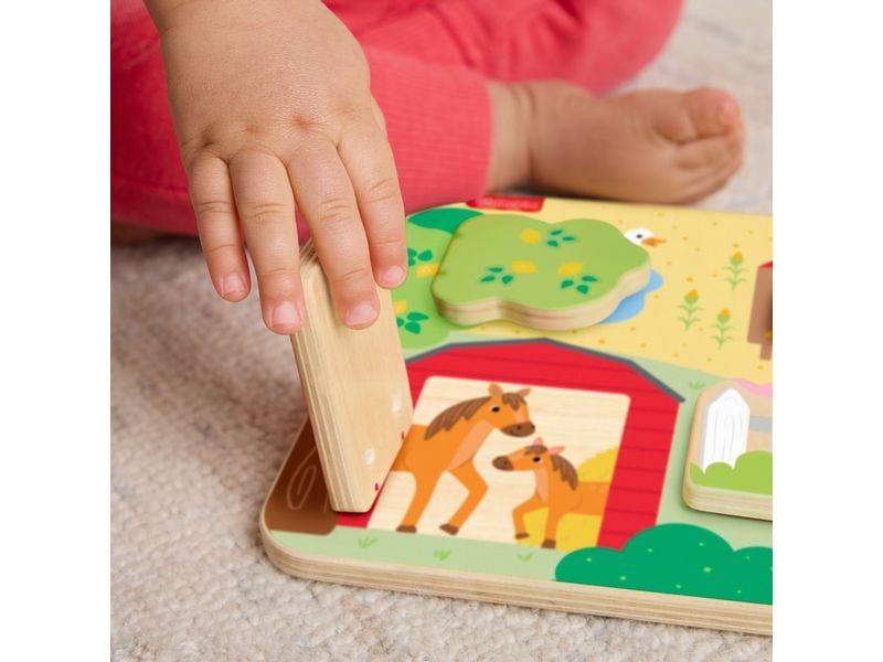Fisher-Price Beschäftigungsspielzeug Guck-Guck-Spiel aus Ho Lernspielzeug