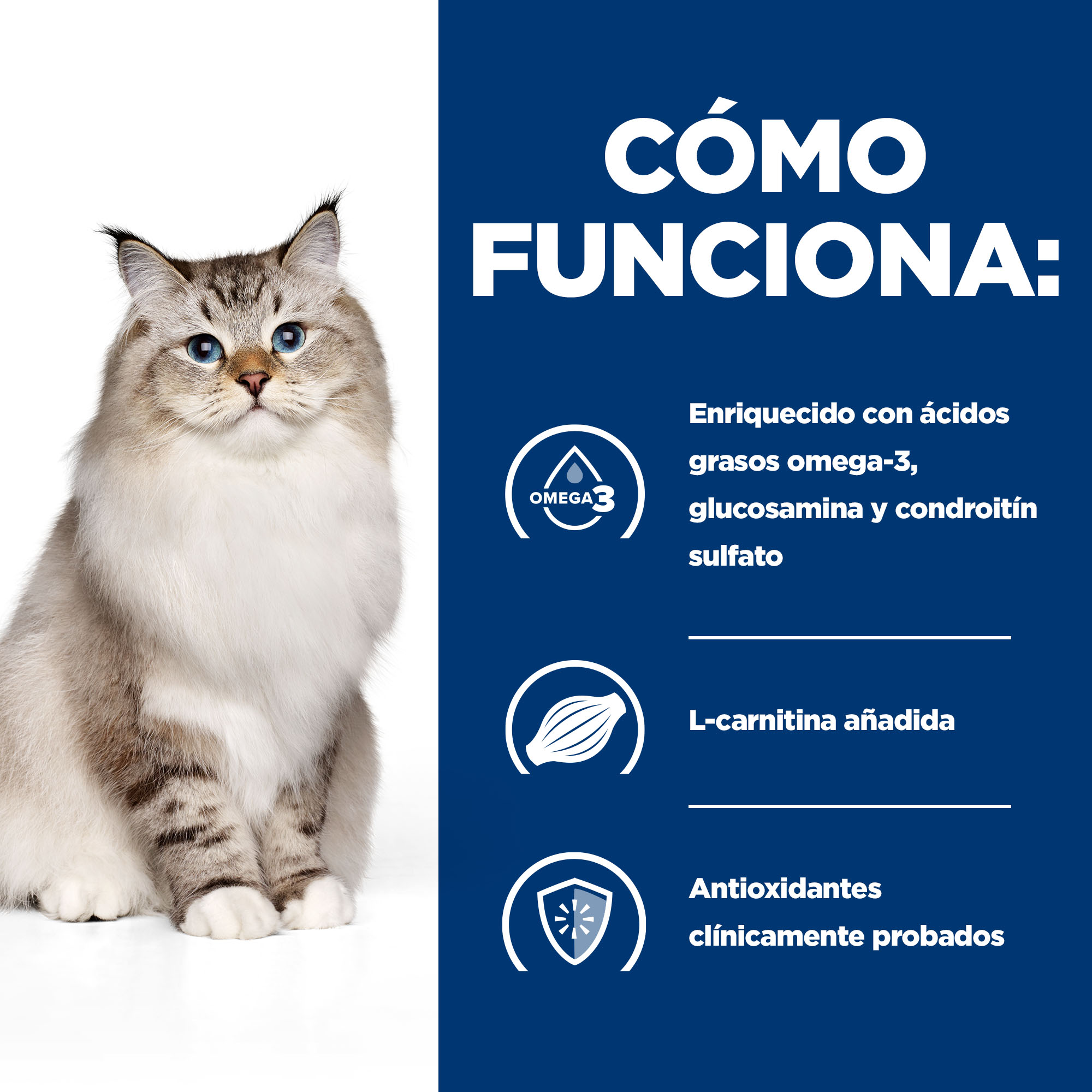 Hill's Prescription Diet Mobility j/d pia para gatos