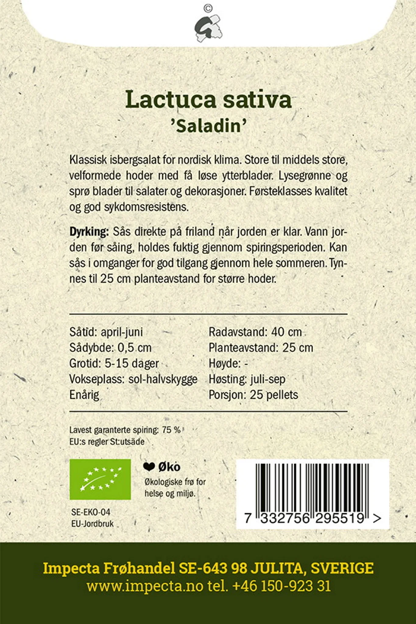 Lactuca sativa 'Saladin' Isbergsalat 'Saladin'