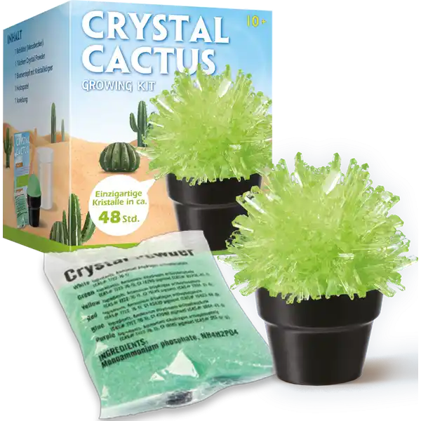 Crystal Cactus Growing Kit