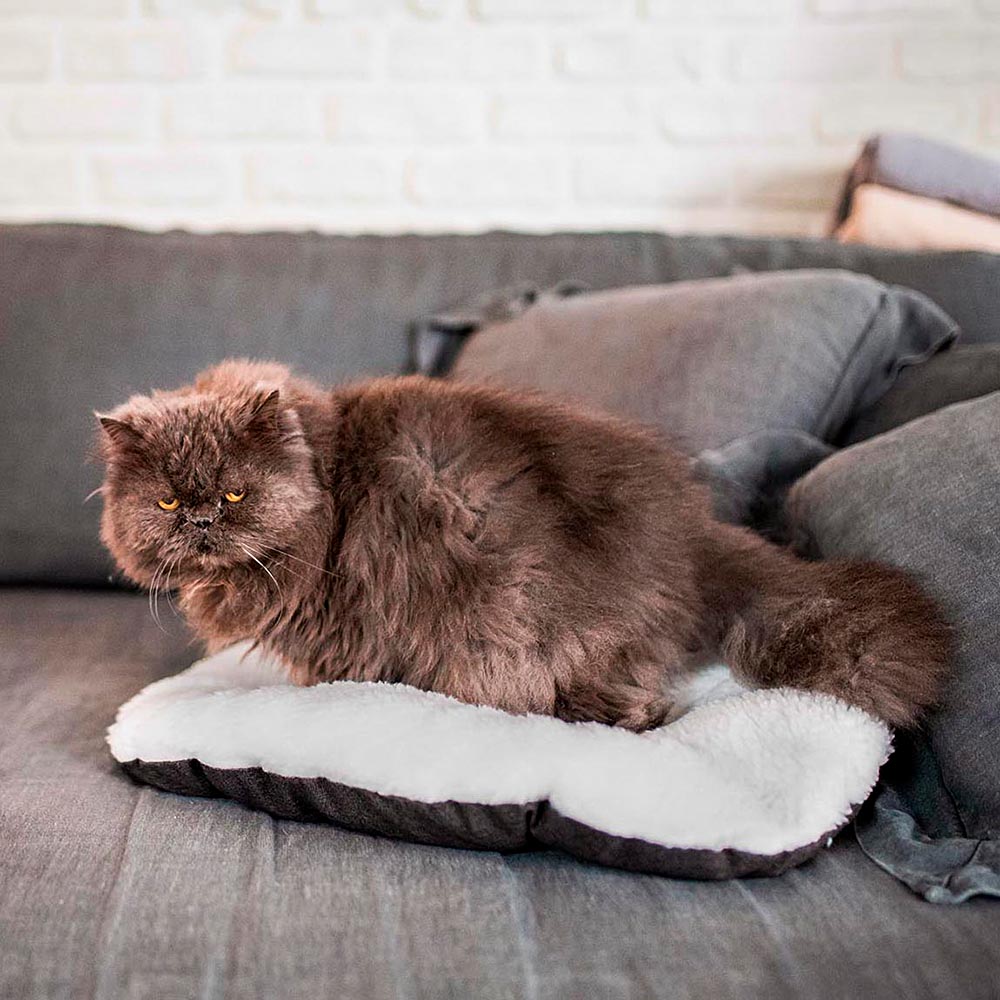 Ferplast panier chien chat - coussin pour chien chat - lavable en machine - tapis chien chat pour niches et voitures - lit pour