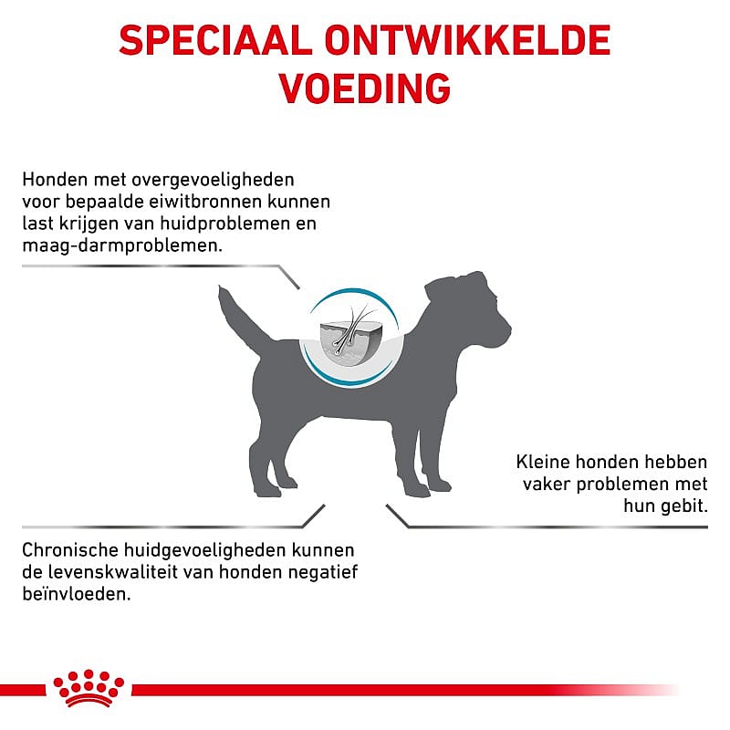 Royal Canin Anallergenic Small Dog | 3 kg | 13196.1