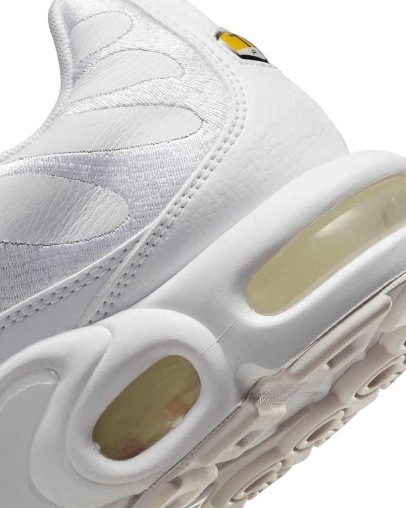 Chaussures Nike Air Max Plus pour homme
