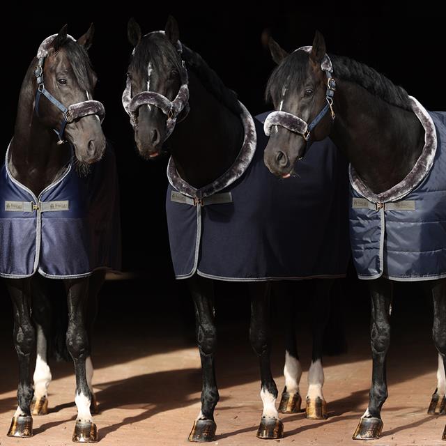 Cooler Bucas Show-Line Competition Donkerblauw-grijs