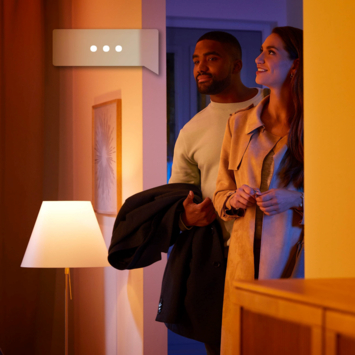 Philips Hue lightstrip plus uitbreiding - wit en gekleurd licht 12.4W - 1m