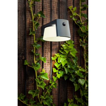 LUTEC wandlamp Moon Solar antraciet 9,5W met bewegingssensor