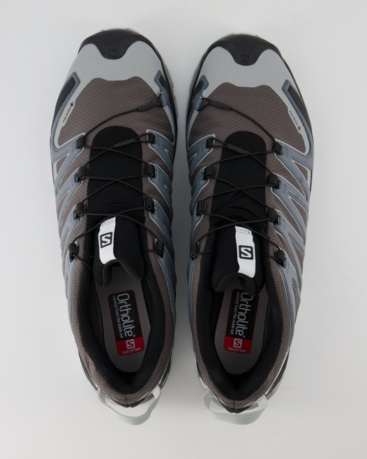 Salomon XA Pro 3D v8 GTX Wanderschuhe in Grau