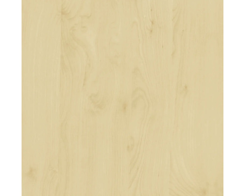 dc-fix® kleeffolie, houtdecor berken, 45x200 cm