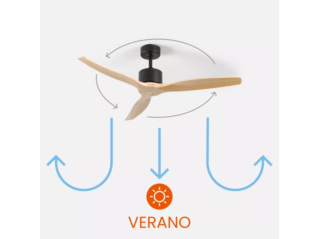 Nebraska Dayron Ventilateur de plafond 3 pales 55W 6 vitesses