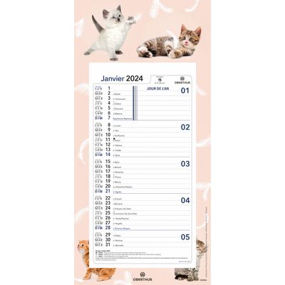 Calendrier mensuel en papier sur plaque nova - 16 x 33 cm - différents modèles disponibles - Oberthur