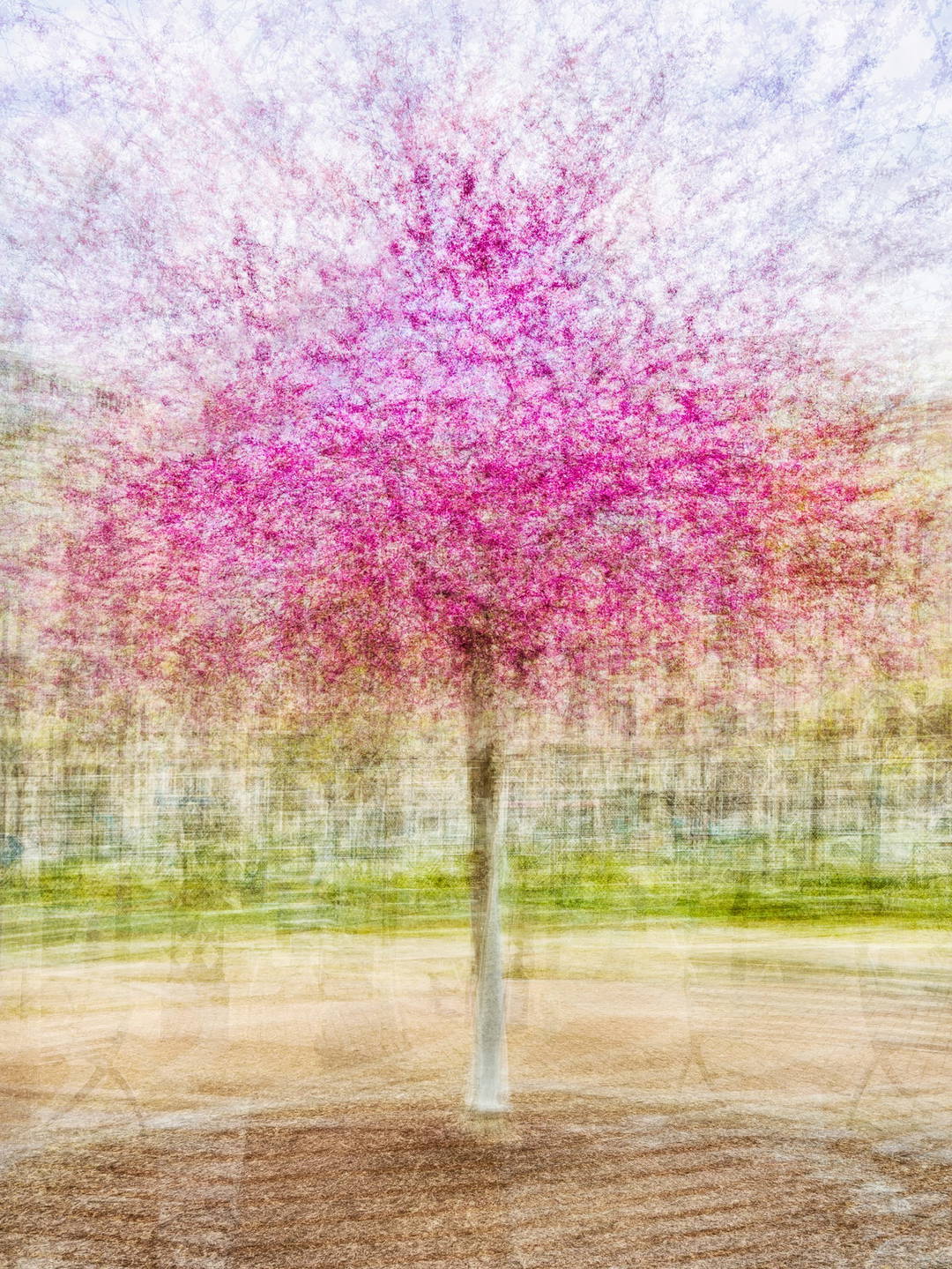Henry Kaiser Park by Pep Ventosa - Limited Edition. Edition of: 100. Signed.