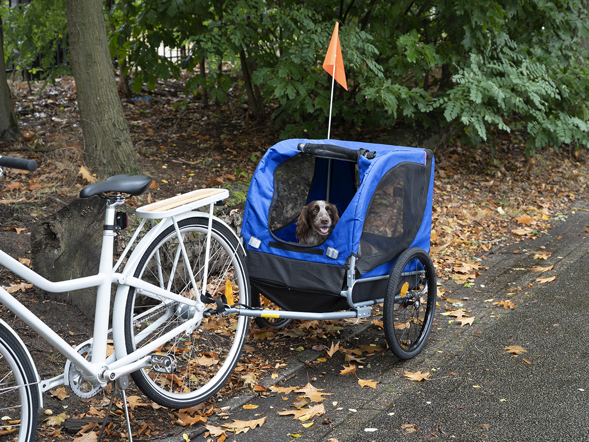 Bicycle Gear hondenfietskar