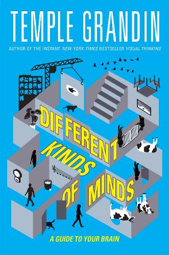 Different Kinds of Minds: A Guide to Your Brain (Paperback)