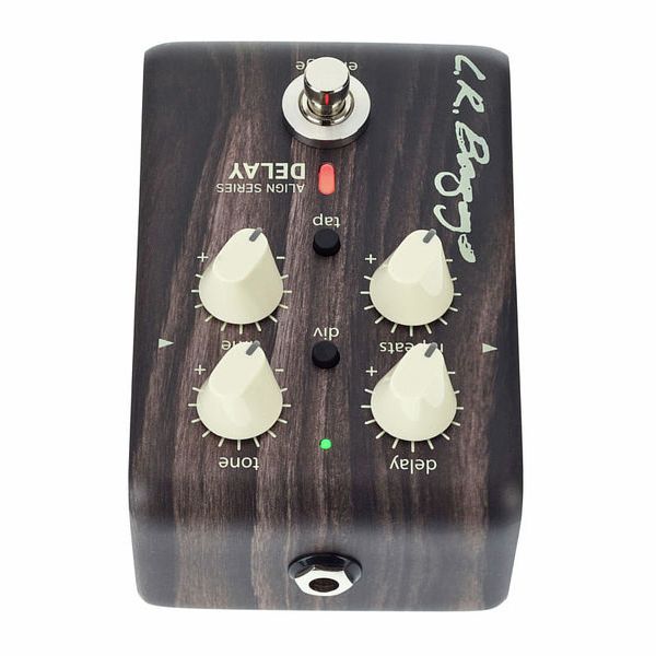 L.R.Baggs Align Delay