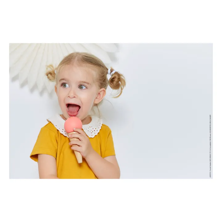 Janod Stand de glaces