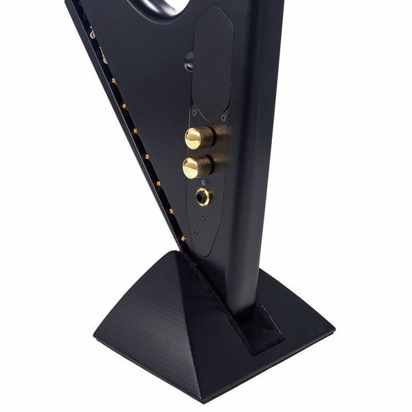Salvi Delta Electric Harp