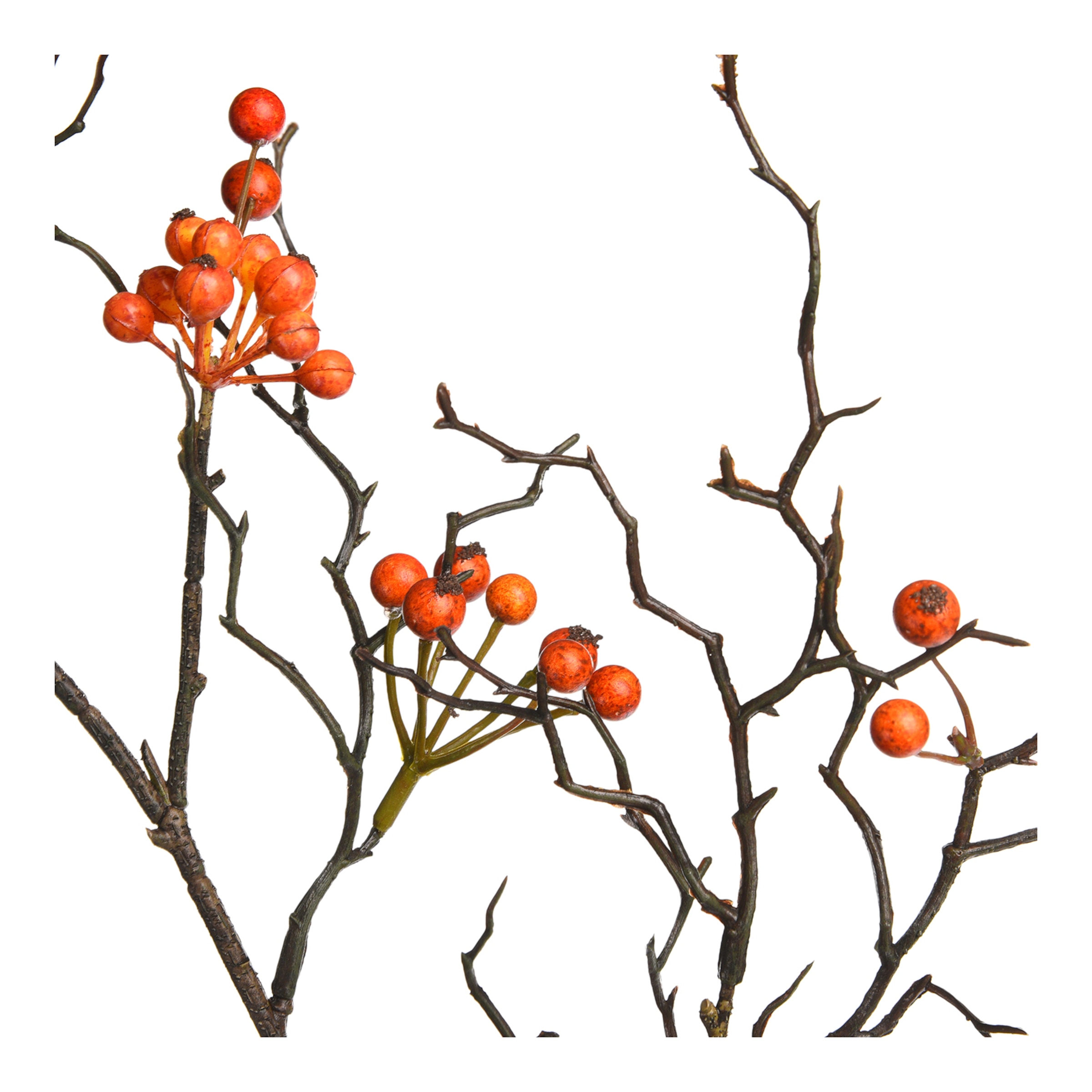 dunkelorange, L 77 cm